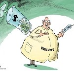 bu aşıya can kurban